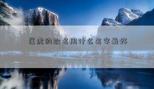 屬虎的取名用什么名字最好