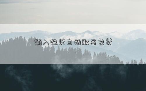 輸入姓氏自動(dòng)取名免費(fèi)