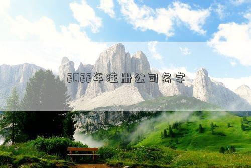 2022年注冊公司名字