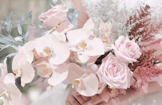 太可惜 一結(jié)婚就把重心全放家里面的四大星座