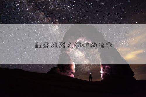 虎牙機器人好聽的名字
