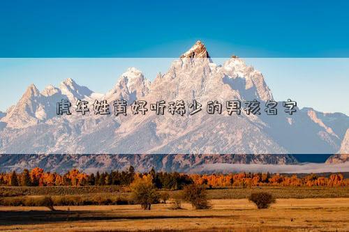 虎年姓黃好聽稀少的男孩名字