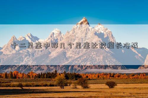 十二星座中那幾個星座比較擅長冷戰