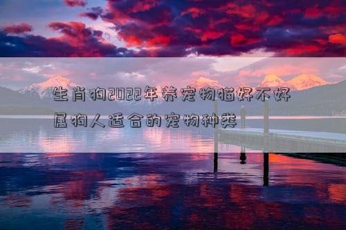 生肖狗2022年養寵物貓好不好 屬狗人適合的寵物種類