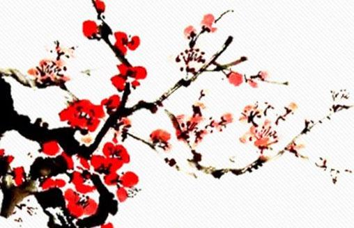 6月8生日是什么星座的