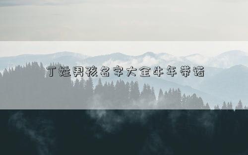 丁姓男孩名字大全牛年帶諾