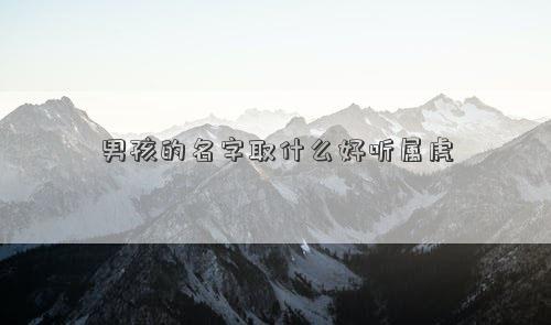 男孩的名字取什么好聽屬虎
