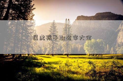 屬虎孩子取名字大全