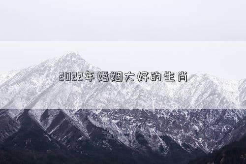 2022年婚姻大好的生肖