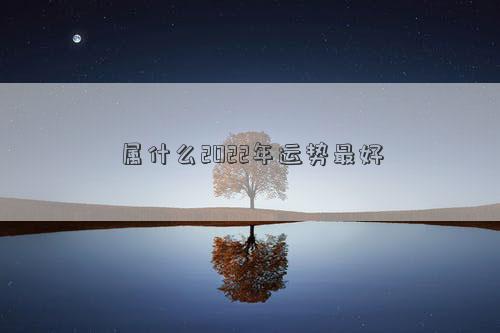 屬什么2022年運勢最好
