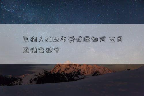屬狗人2022年愛情運如何 五月感情宮被合