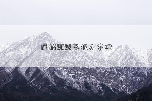 屬猴2022年犯太歲嗎