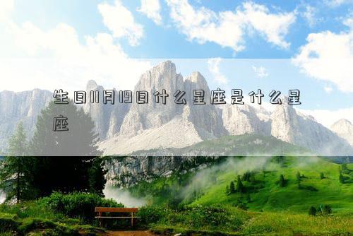 生日11月19日什么星座是什么星座