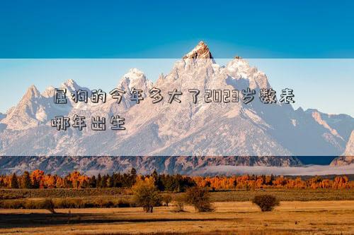 屬狗的今年多大了2023歲數表 哪年出生