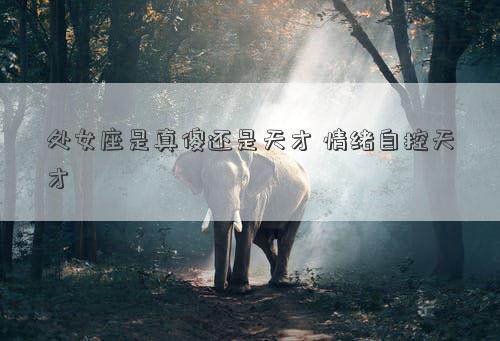 處女座是真傻還是天才 情緒自控天才