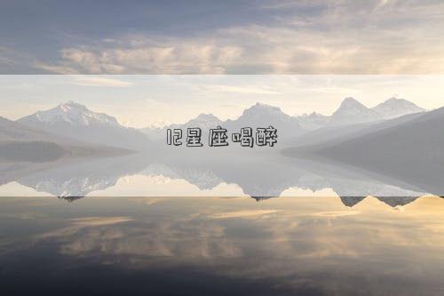 12星座喝醉