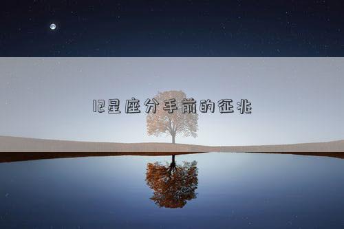 12星座分手前的征兆