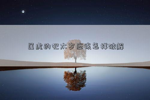 屬虎的犯太歲應該怎樣破解