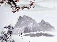 虎年2022虎年的全年運勢