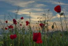 家居餐廳裝修要注意哪些風水問題