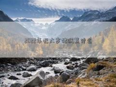 2022年犯太歲豬佩戴什么