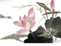 85牛女2022年每月運(yùn)勢(shì)