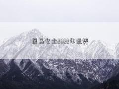 屬馬女士2022年運(yùn)勢(shì)