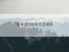 生肖猴2022年兩喜纏身