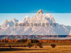 好聽的兩子游戲名字大全