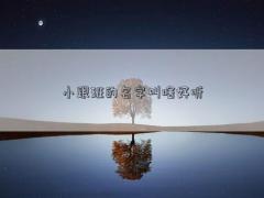 小跟班的名字叫啥好聽