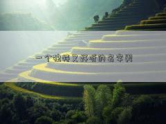 一個(gè)獨(dú)特又好聽(tīng)的名字男