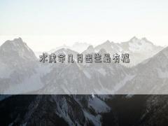 水虎命幾月出生最有福