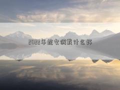 2022年蛇女佩戴什么好