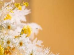 實事求是 這四大星座做事從來不糊弄