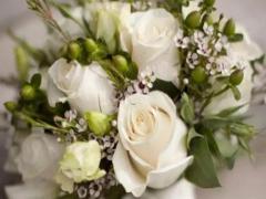 24歲屬雞是什么星座