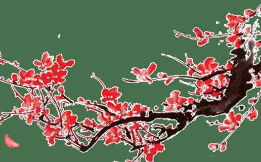 缺木火女孩名簡單大氣