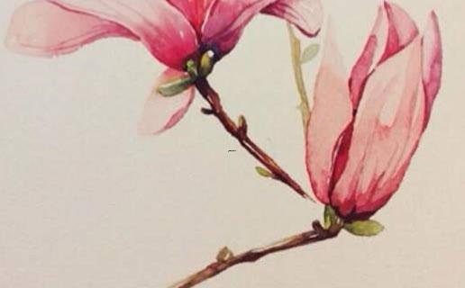 王瑾涵名字打分女孩