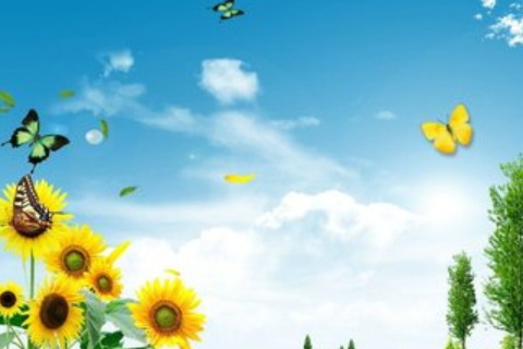 夢見小老鼠在身上是什么意思