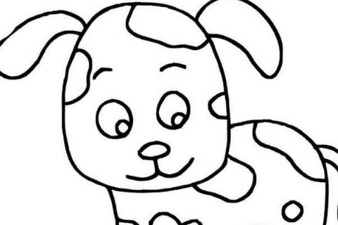2023年出生的屬兔人一生運勢如何