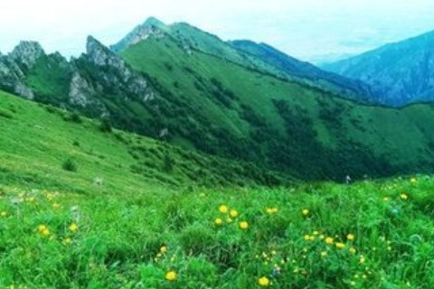 夢見火山爆發濃煙滾滾意味著什么