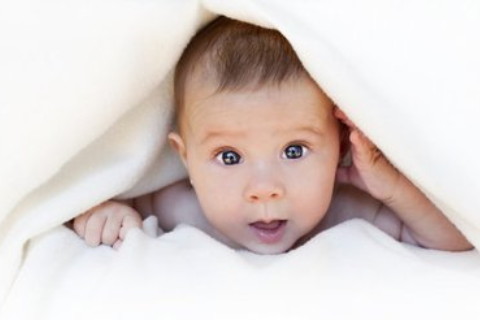 韋姓氏的最佳三才配置