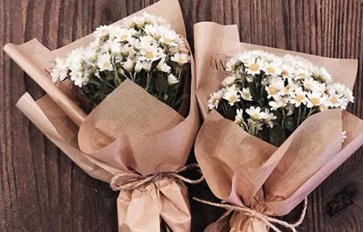 7月25陰歷什么星座的 7月25陰歷什么星座的