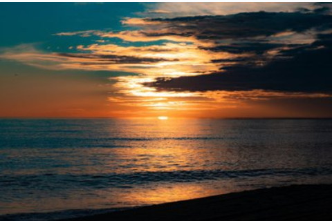 夢見小老鼠在身上是什么意思