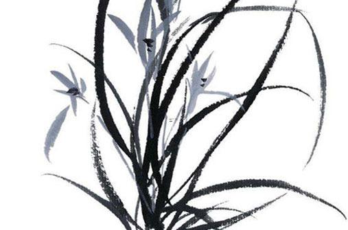 麥玲玲2022年屬虎運(yùn)勢(shì)運(yùn)程