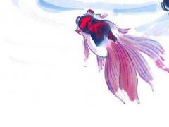 2022屬虎取名宜忌