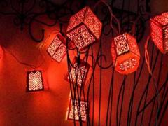 11月11日是什么星座