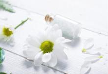 周公解夢之耳朵里有蟲子爬出