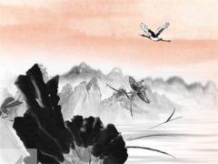 屬虎年運(yùn)勢(shì)2022年顏色