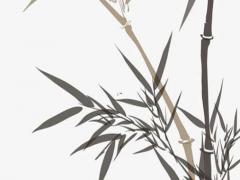 2022年屬虎怎么化解太歲