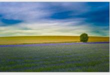 AB型血12星座最適合的職業(yè)